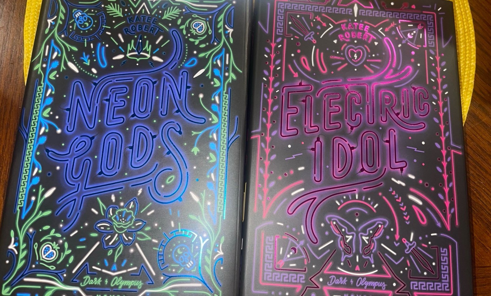 neon gods bookish box