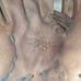 GUC Worth Toxic Lite Series 14 Adult Slowpitch Softball Glove LHT TXL14