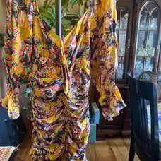 Women’s dress size large