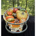 17” Wire Basket Harvest Thanksgiving Pumpkins Fall Leaves With Fake Gords
