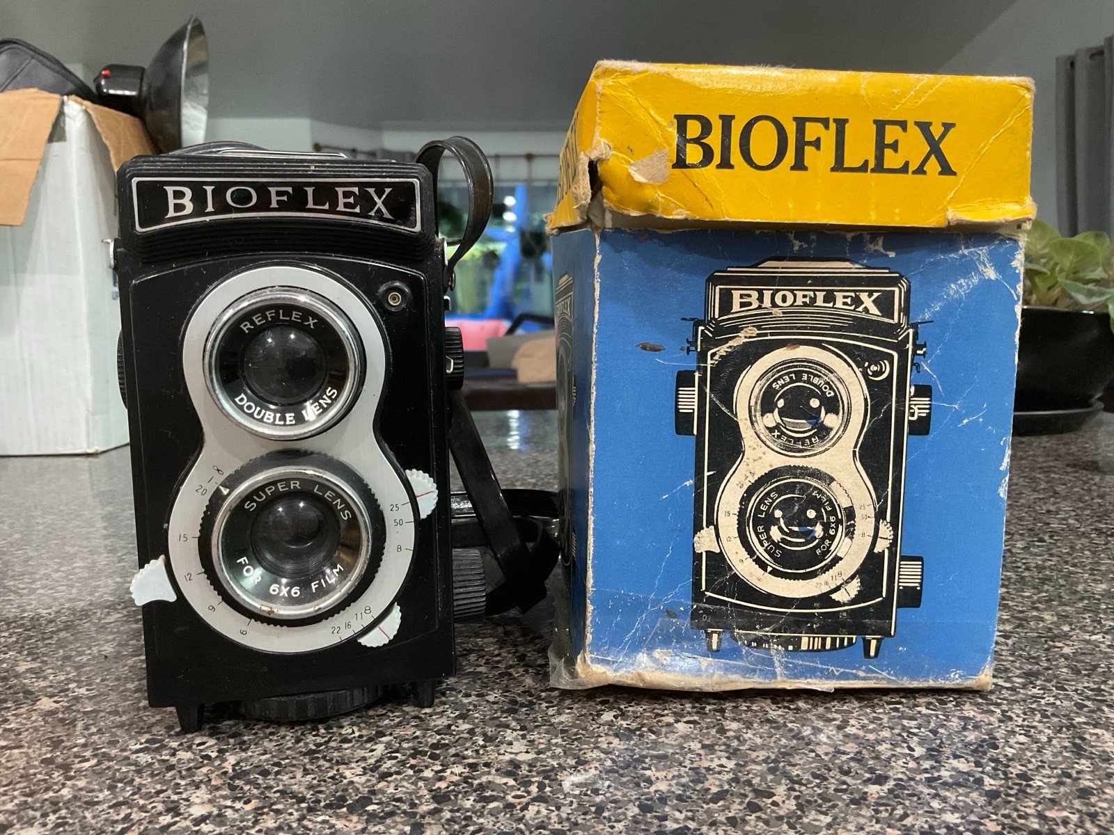 Bioflex Beauty: Your Next Photo Obsession