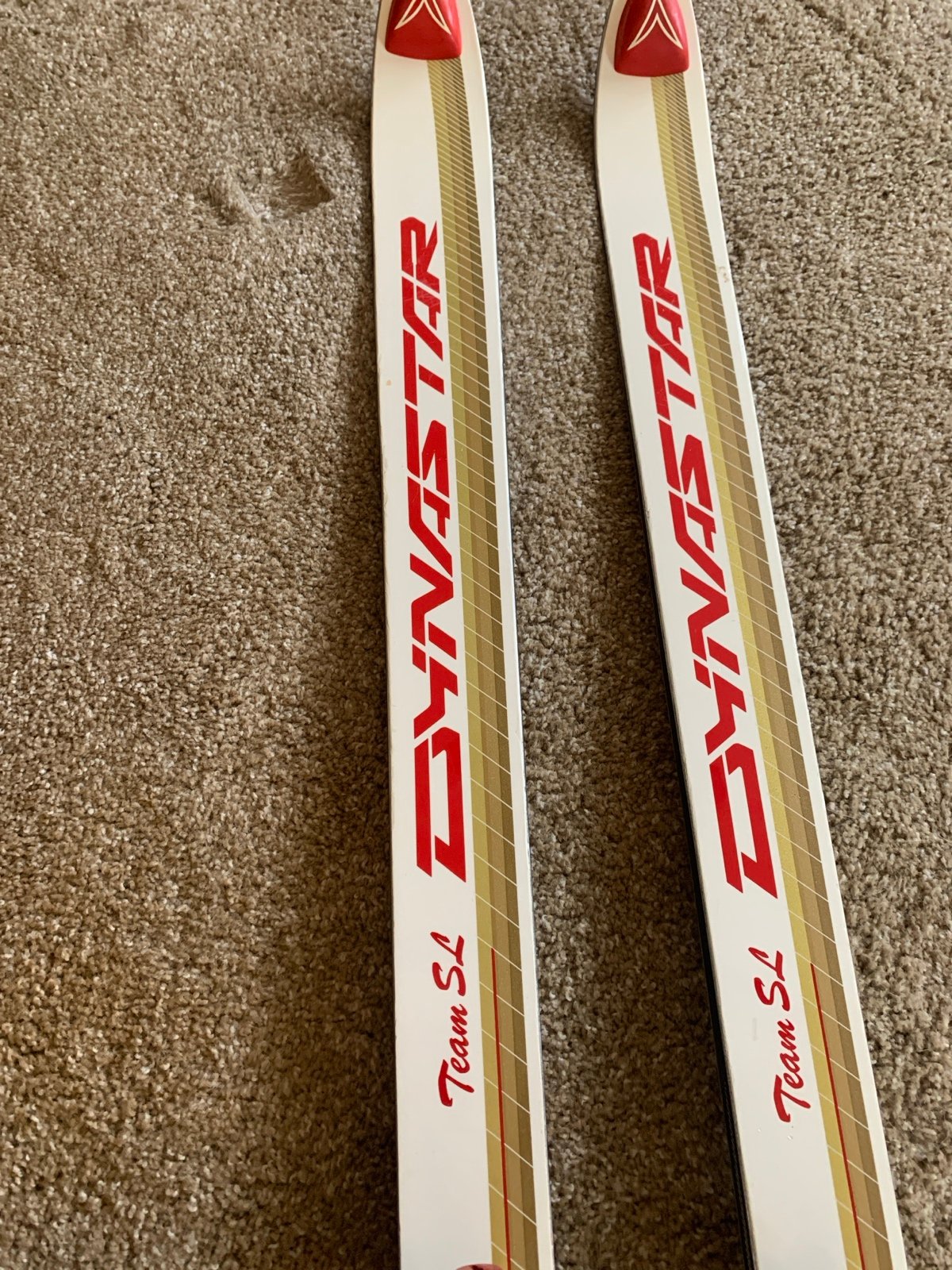 Dynastar Team SL Skis Downhill Skis