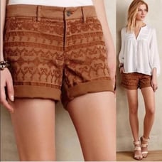 Pilcro & The Letterpress Hyphen Embroidered Shorts Size 29