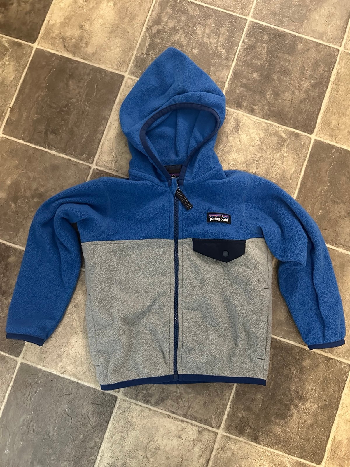 Patagonia micro D snap fleece hoodie