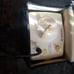 Medela pump in style advanced