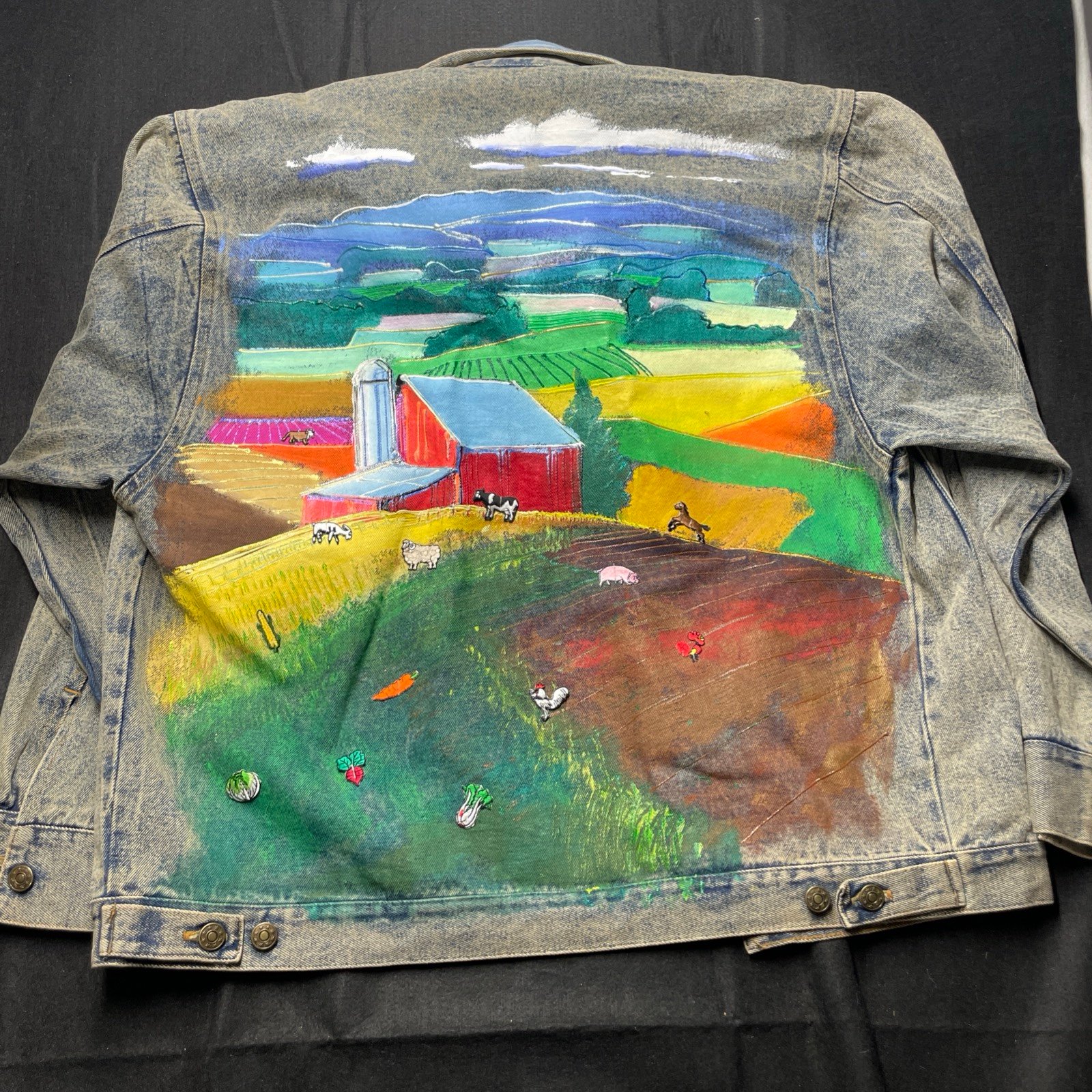 Vintage Hand Painted Denim Jean Jacket XL Farm Appliqués Cottage Faded Baggy 80s