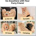 Small Dog Car Seat for Dogs, Waterproof Dog Booster Seat w/ Storage Pocket