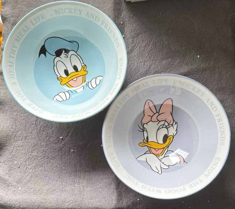 Disney Donald & Daisy salad bowl set
