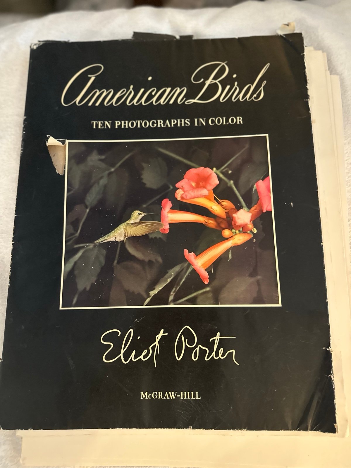 ELIOT PORTER AMERICAN BIRDS 10 PHOTOGRAPHS INCOLOR