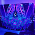 Blacklight Tapestry UV Reactive Skelton Wall Tapestry
