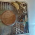 The Golden Compass DiGi - Daemon