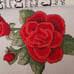 LOVE IS PATIENT-Counted Cross Stitch