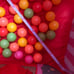 Kids Tent - Sweets Shop Pink with Balls