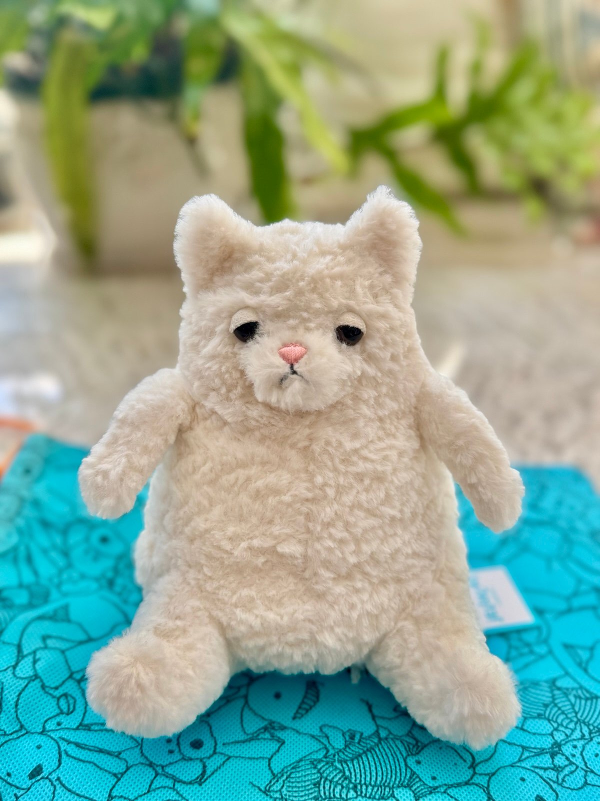 Jellycat Small Cream Amore Cat - Brand New With Tags - Retired Design
