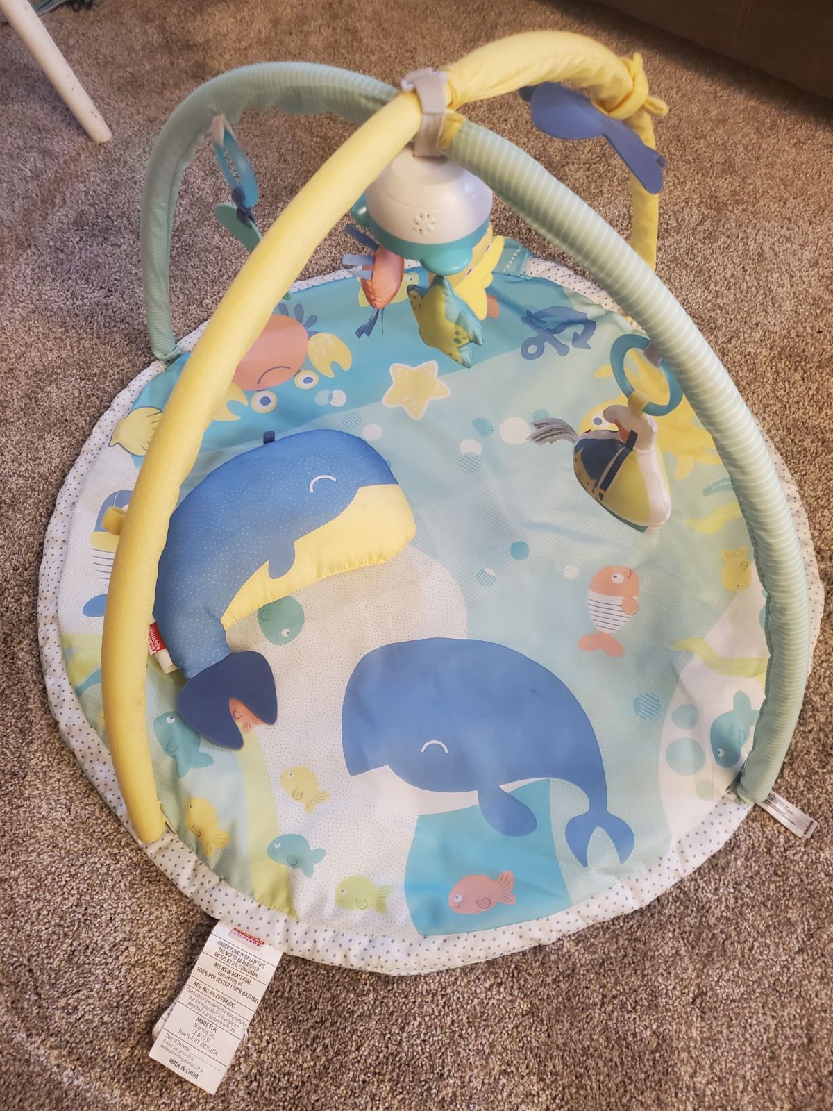 Ocean adventure play gym