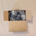 Lot of 4 NIB Outdoor String Lights 25 Feet Globe LED Patio Lights