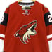 Reebok Arizona Coyotes Jersey Youth Kids 2016-17 NHL Premier #23 Home L/XL