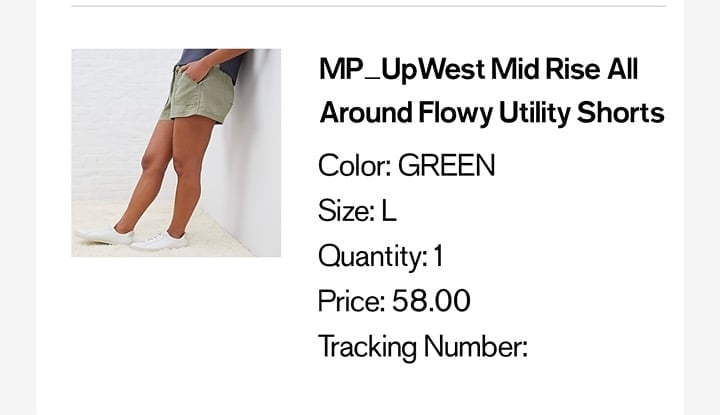 Express green shorts size large