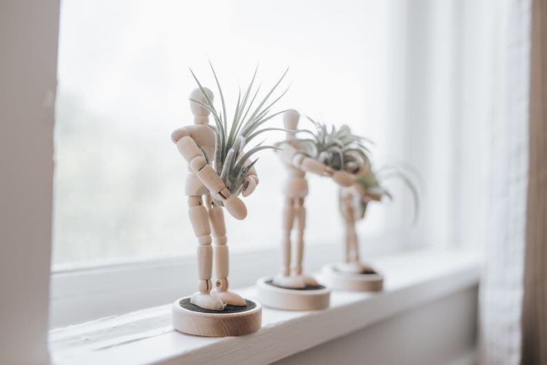 3 Air plant planter, mini man fun planter