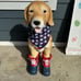 XL Patriotic Dog 27” tall!!! with Boots
