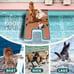 370 Dog Pool Boat Inflatable Ramp Extra Large 8x5 FT 600 LBS Non-Slip Multiple