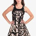 Diane Von Furstenberg Raelin Red Carpet Snake Print Fit and Flare Dress Size 2