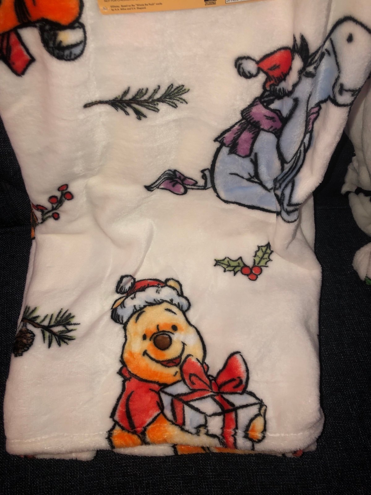 ❤️ Winnie the Pooh & Friends Christmas throw blanket