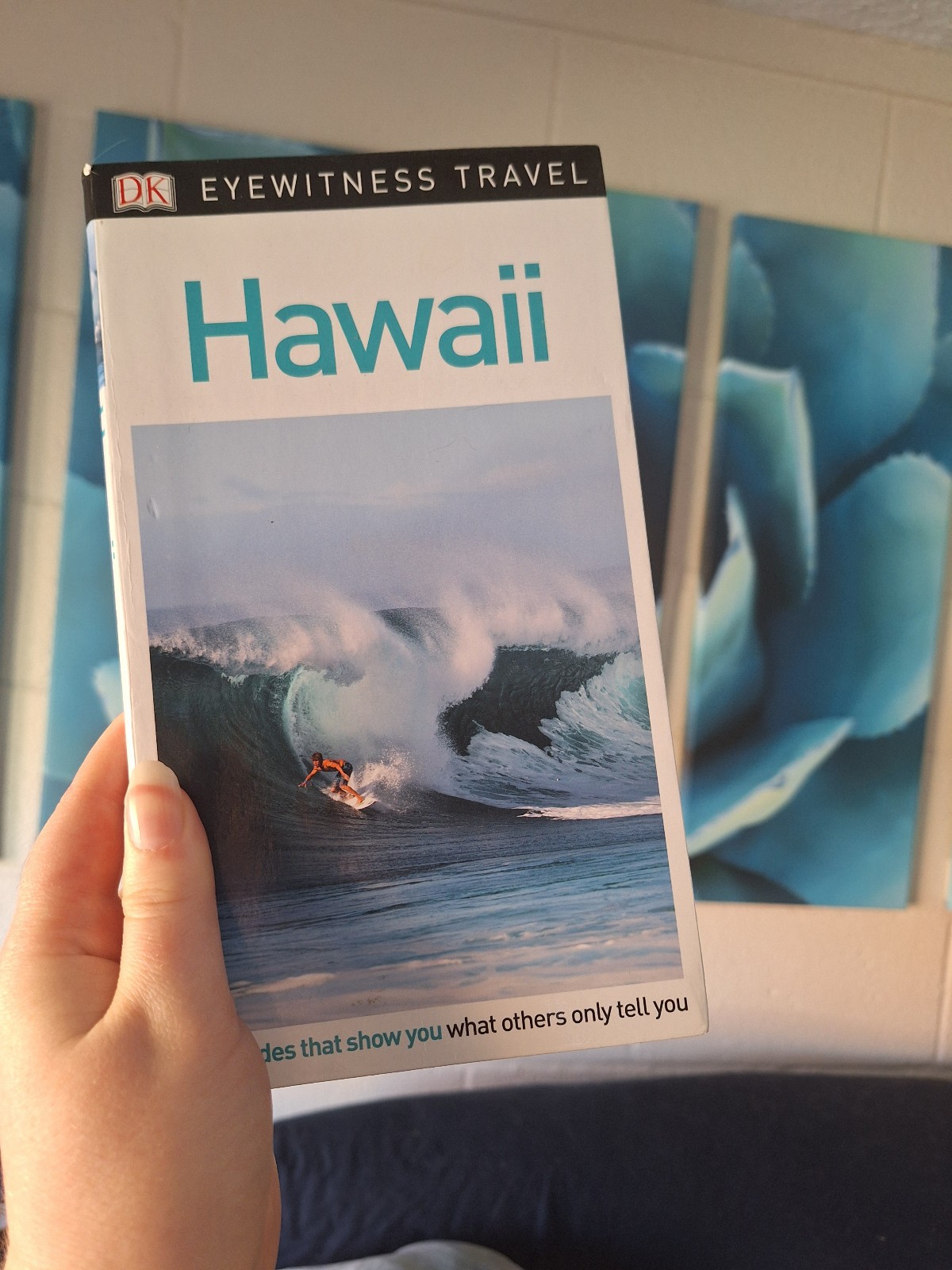 Hawaii Travel Guide - detail