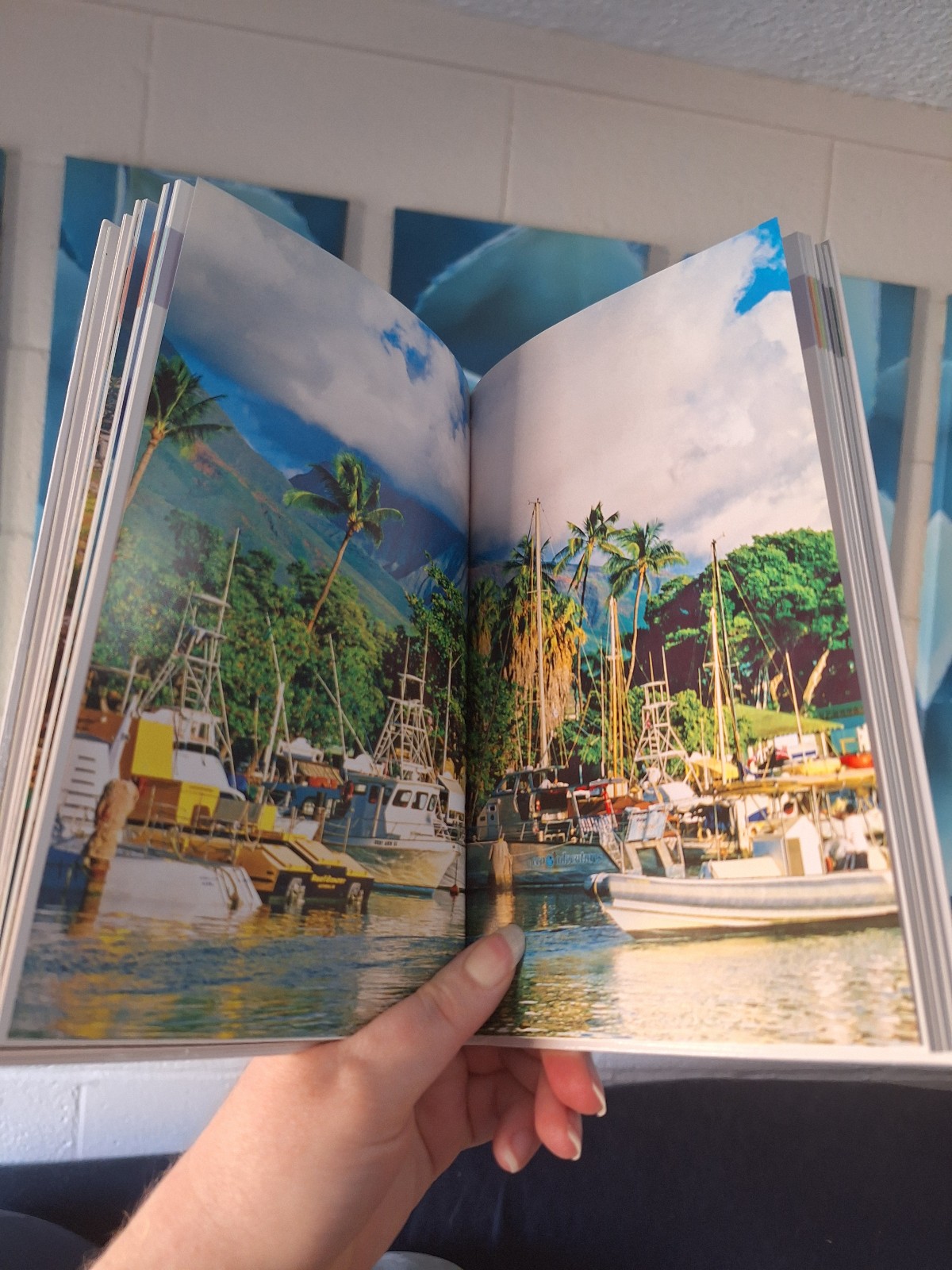Hawaii Travel Guide - detail