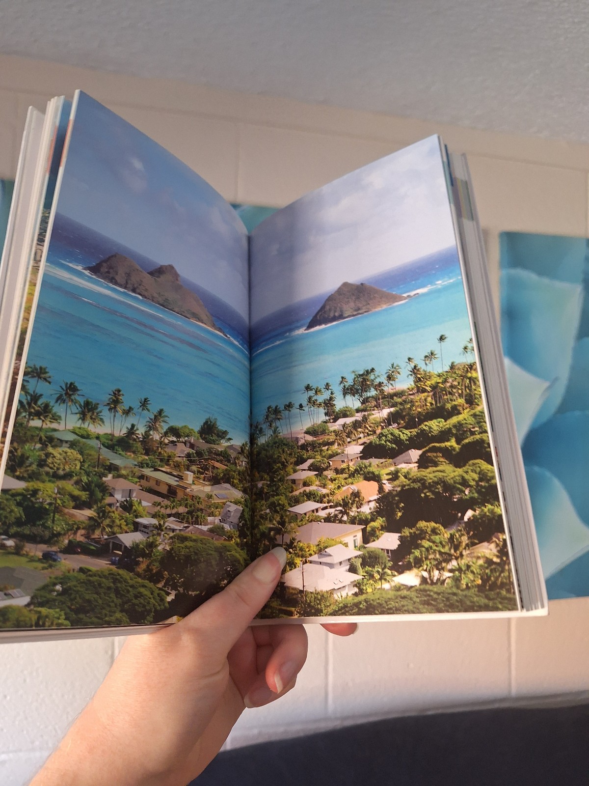 Hawaii Travel Guide - detail