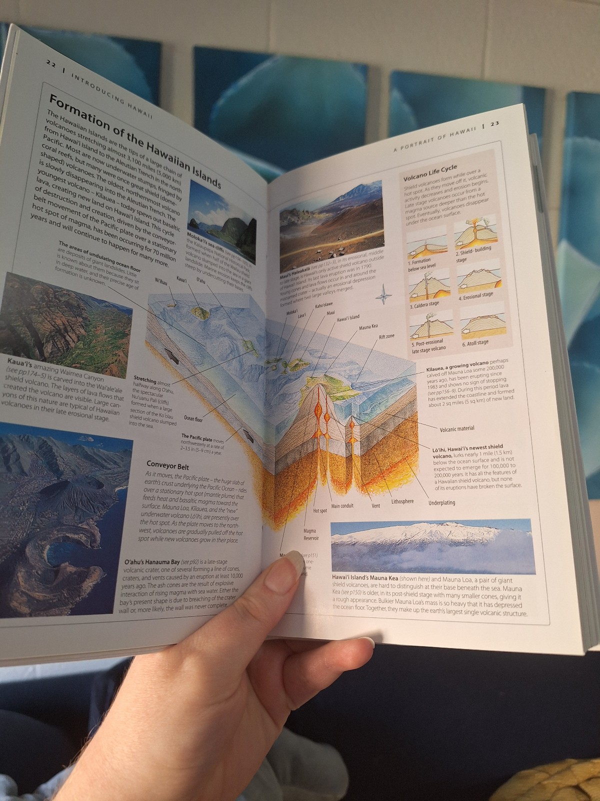 Hawaii Travel Guide - detail