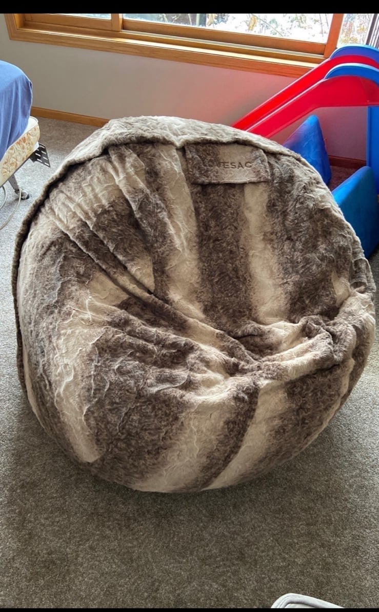 Lovesac Citysac with Liger Phur cover