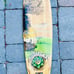 Sector 9 Skateboards - Padang Bamboo Construction Complete Longboard Skateboard