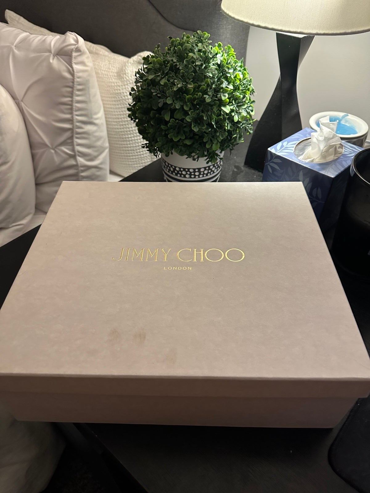 Jimmy Choo Suede Boots