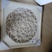 Paper Shadow Box Collection White Flower