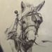 Horse Pencil Art Wall Decor Sue T Chapman Horse wall art Horse Drawing Vintage