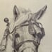 Horse Pencil Art Wall Decor Sue T Chapman Horse wall art Horse Drawing Vintage