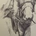 Horse Pencil Art Wall Decor Sue T Chapman Horse wall art Horse Drawing Vintage