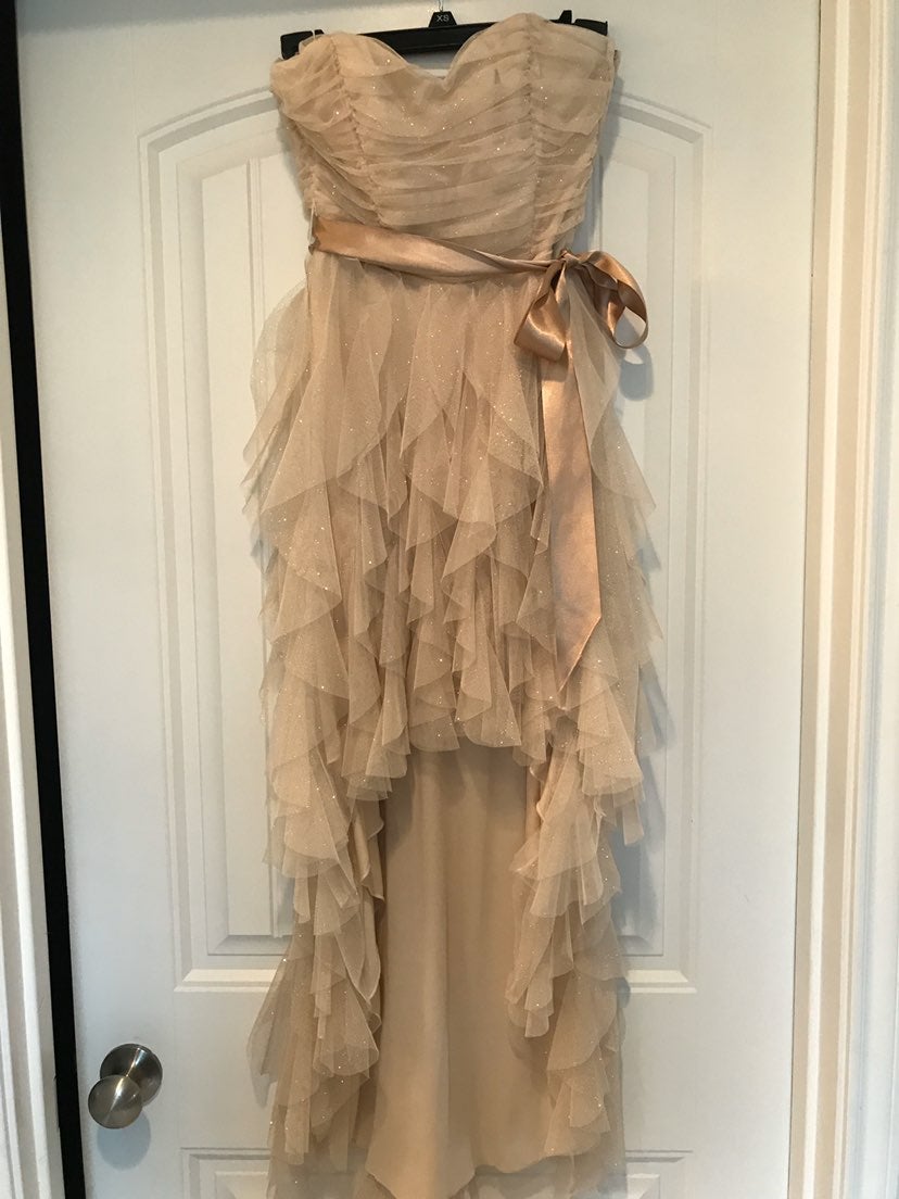 Champagne Party/Prom Dres