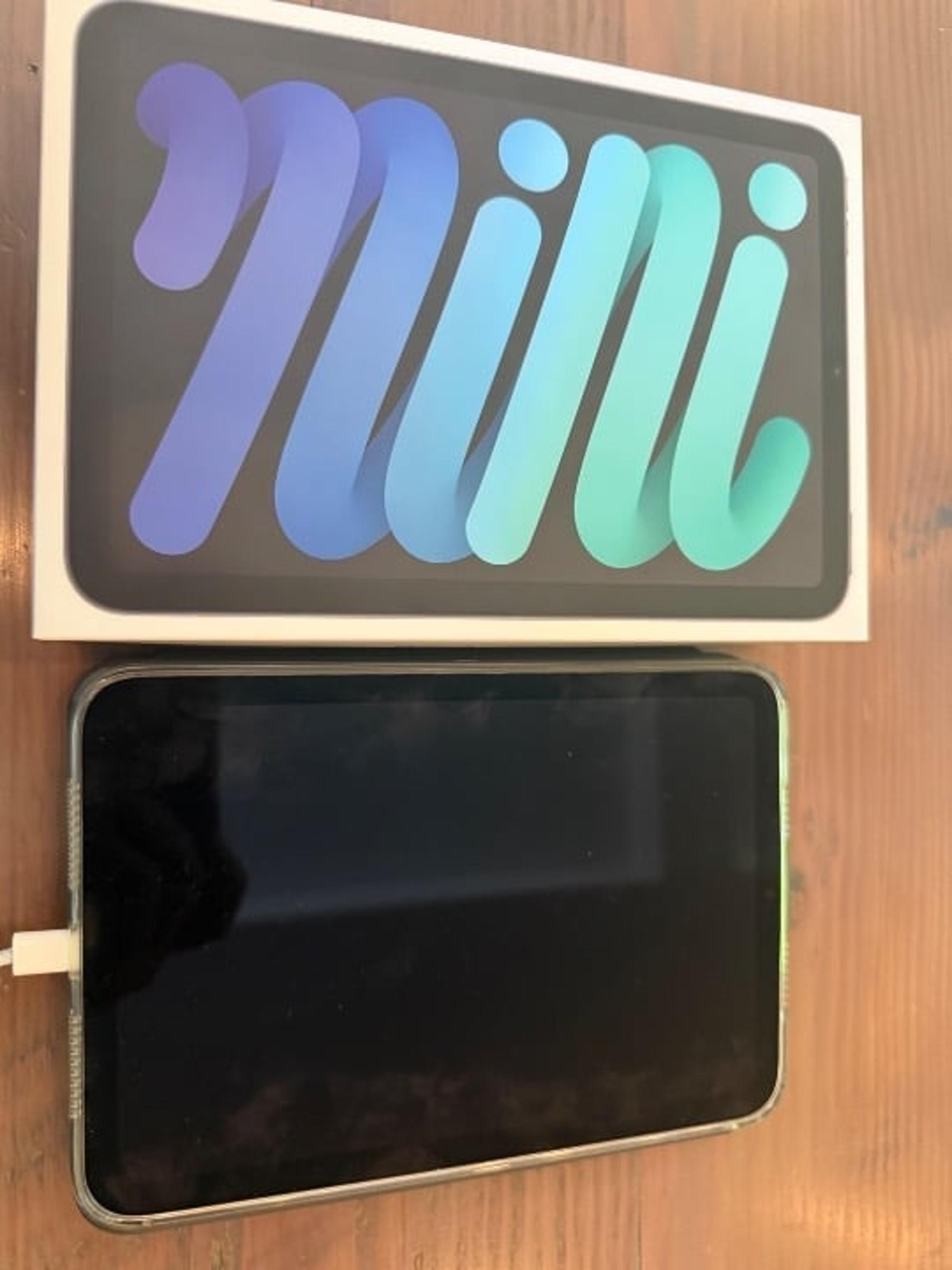 iPad mini Wi-Fi + Cellular 256GB - Space Gray
