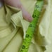 American Eagle Yellow Midi Cotton Stretch Shorts 6