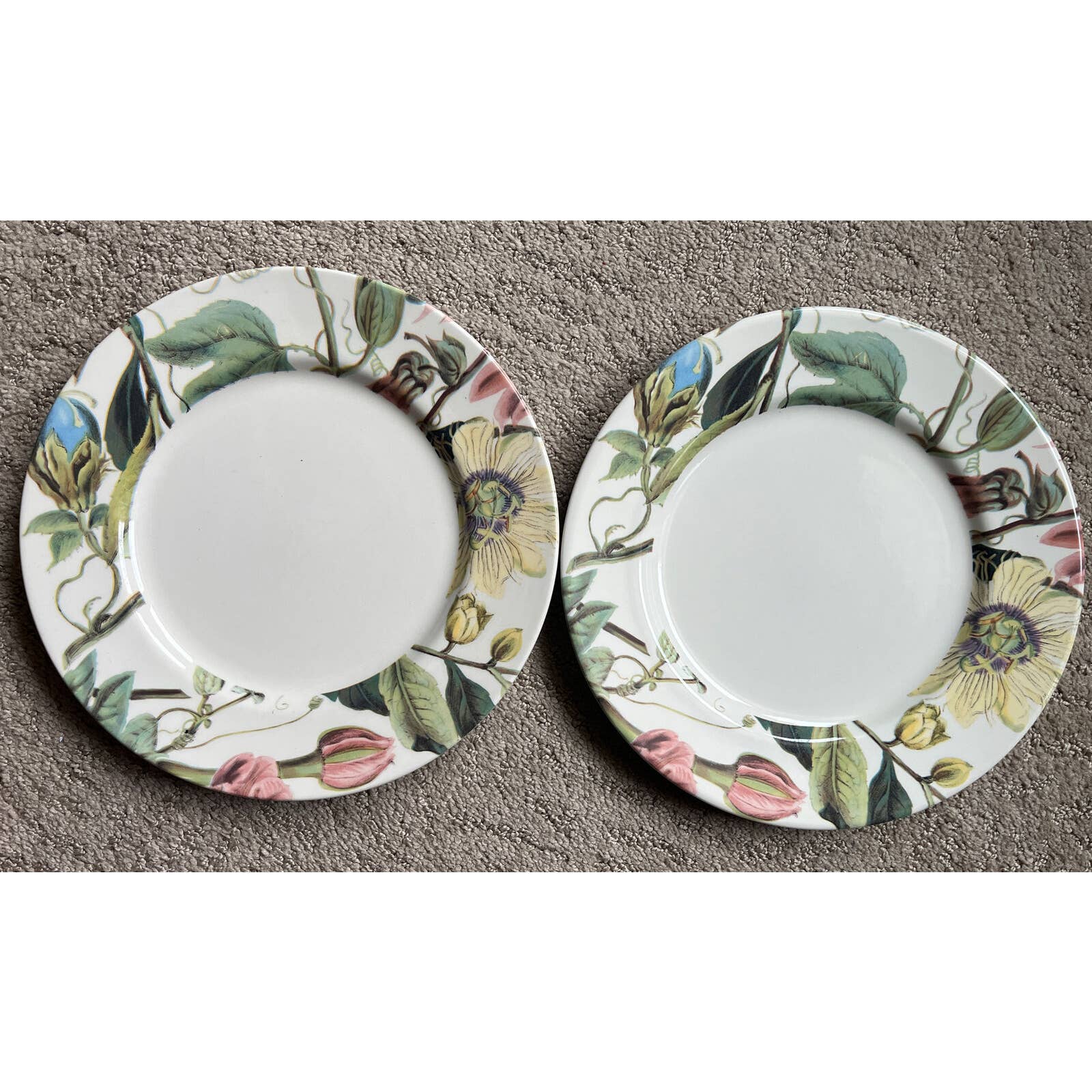 Royal Stafford Floral Rim Large Dinner Plates Pair Of 2 11”