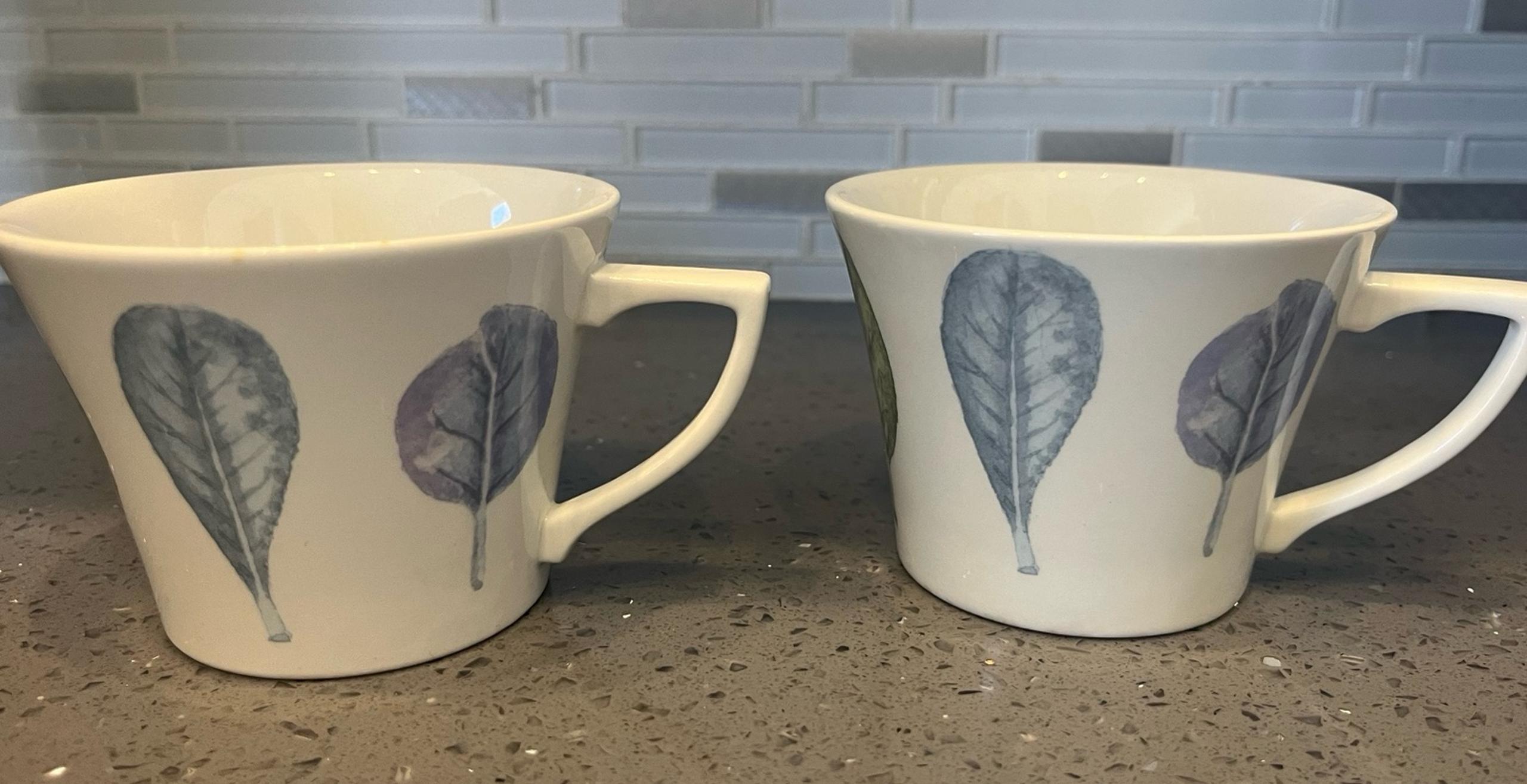 Seasons Collection Coffee Cups - Portmeirion