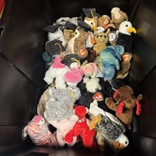 10 randomly picked Ty beanie baby