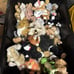 10 randomly picked Ty beanie baby