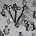 Japanese steel sheers