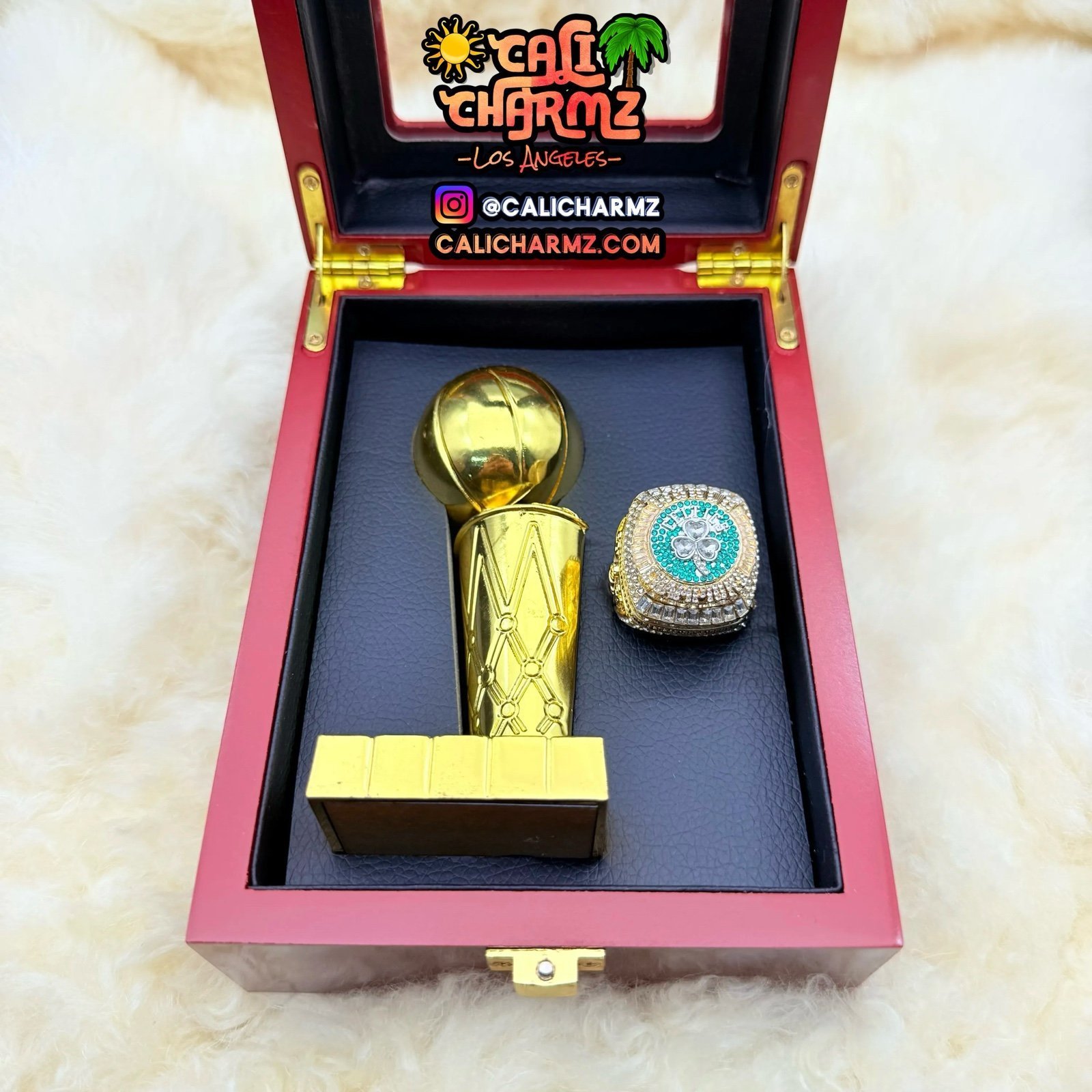 2024 BOSTON CELTICS NBA CHAMPIONSHIP TATUM BROWN TROPHY + DISPLAY CASE