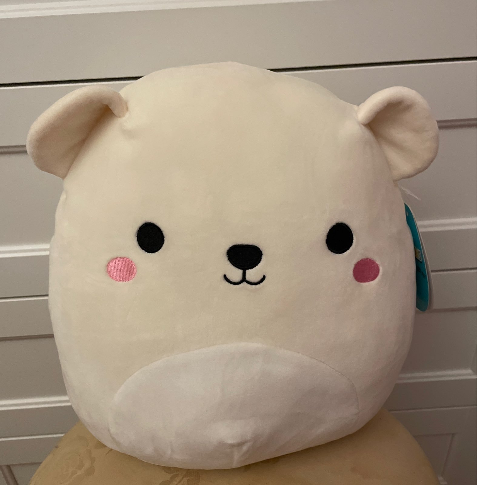 Squishmallows Brooke the Polar Bear