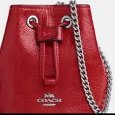 Coach drawstring wristlet