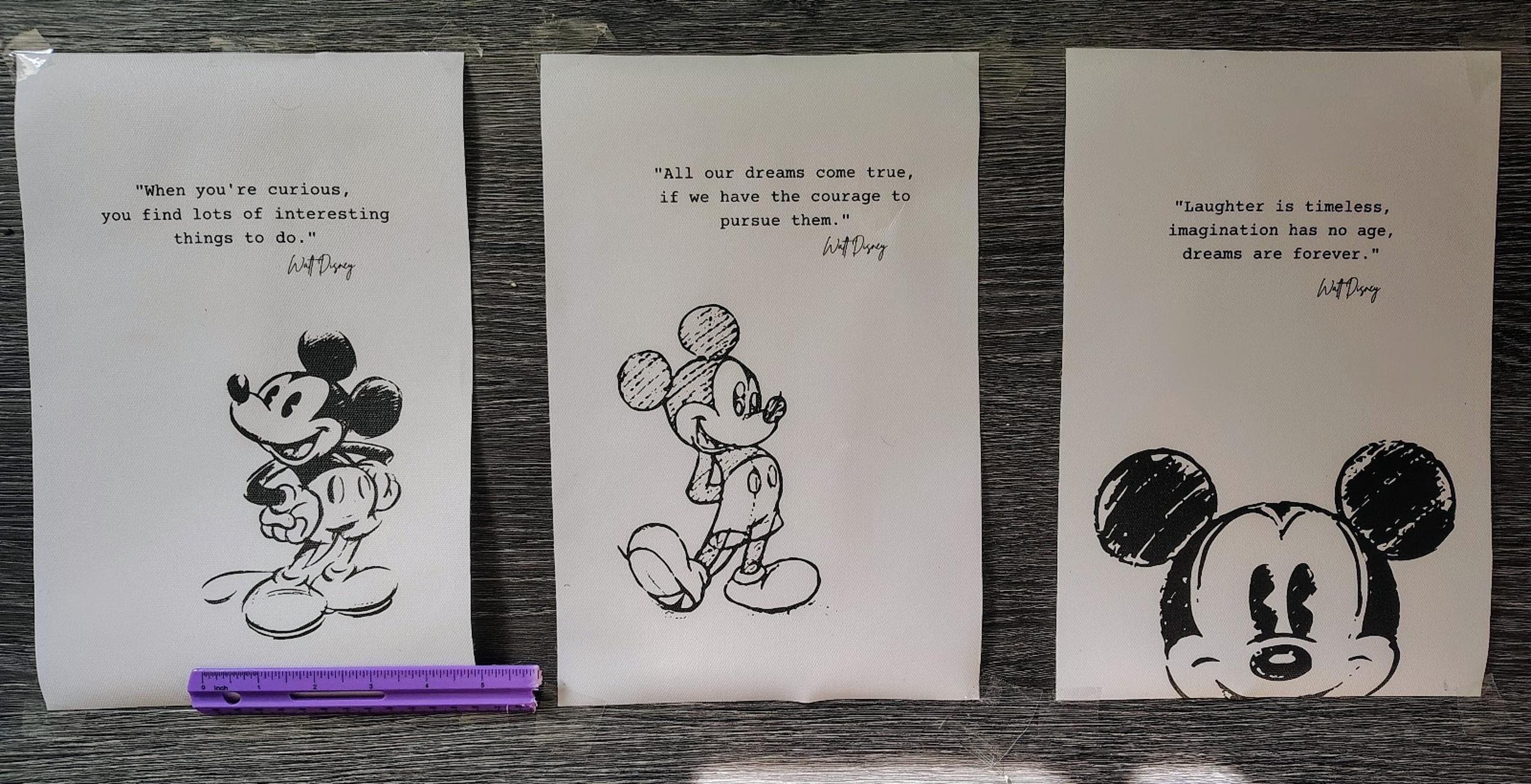 Classic Disney Mickey Mouse Inspiration Quote Canvas Posters (3)
